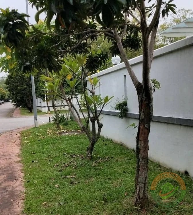 Freehold Corner Single Storey House In Setia Alam in Setia Alam